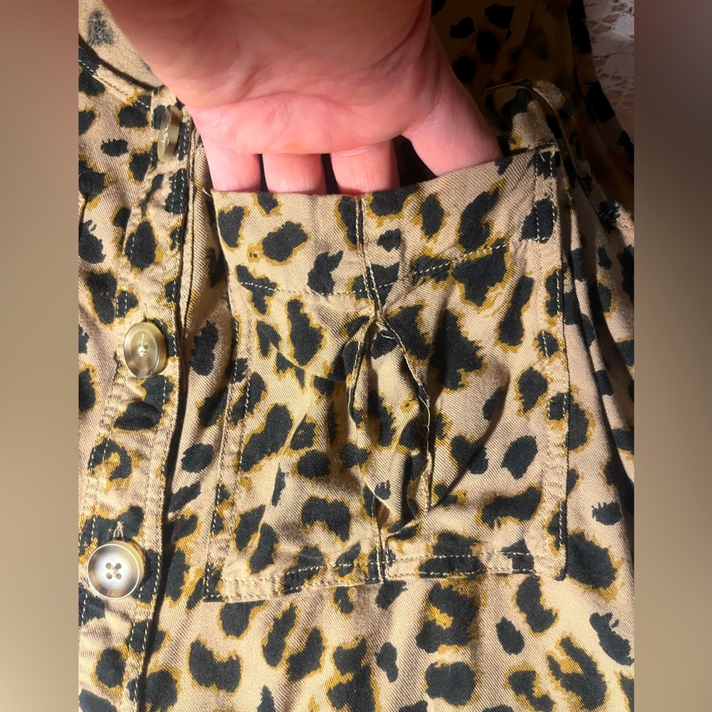 Express - Picture 5 of 7